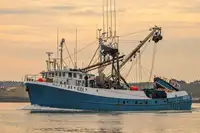 Purse seiner pikeun dijual