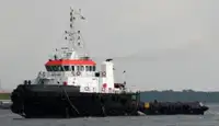 Tow boat pikeun dijual
