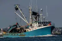 Purse seiner pikeun dijual