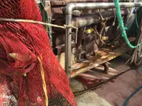Kapal pancing trawler keur dijual