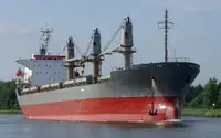 Pamawa bulk pikeun dijual