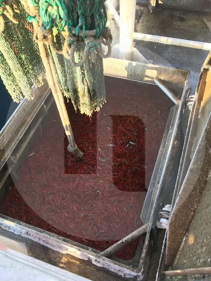 Kapal pancing beam trawler keur dijual