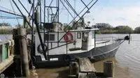 Trawler pikeun dijual