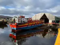 Ro-Ro ship pikeun dijual