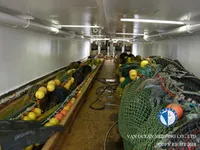 Kapal pancing trawler keur dijual