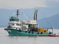 Kapal purse seiner keur dijual