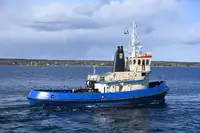 Tow boat pikeun dijual