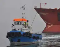 Tow boat pikeun dijual