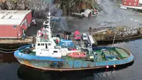 Tow boat pikeun dijual