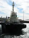 Tow boat pikeun dijual