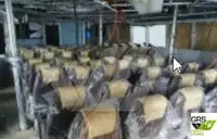 Kapal panumpang keur dijual