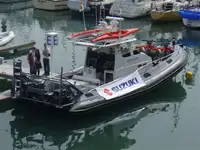Parahu patroli pikeun dijual