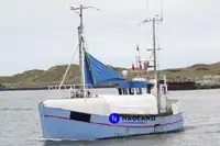 Longliner pikeun dijual