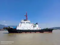 Tow boat pikeun dijual