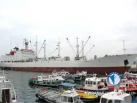 Kap reefer keur dijual