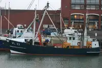 Trawler pikeun dijual
