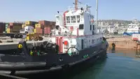 Tow boat pikeun dijual