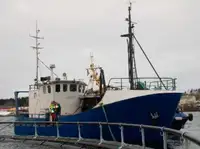 Trawler pikeun dijual