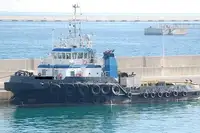 Tow boat pikeun dijual