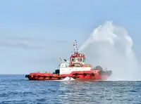 Tow boat pikeun dijual