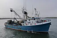 Kapal purse seiner keur dijual
