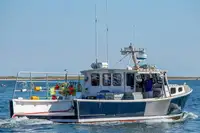 Purse seiner pikeun dijual