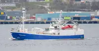 Purse seiner pikeun dijual