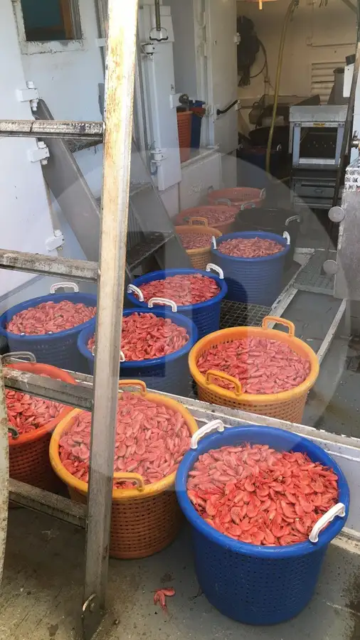 Kapal pancing beam trawler keur dijual