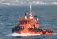 Tow boat pikeun dijual
