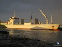 Reefer kapal pikeun dijual