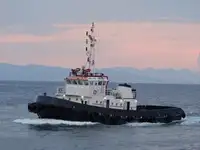 Tow boat pikeun dijual