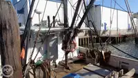 Kapal pancing trawler keur dijual