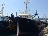 Kapal pancing trawler keur dijual