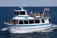 Kapal pesiar keur dijual