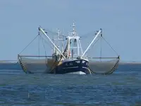 Trawler pikeun dijual