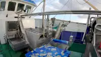 Kapal pancing beam trawler keur dijual