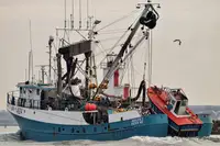 Kapal purse seiner keur dijual