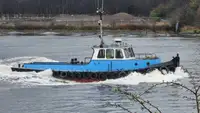 Tow boat pikeun dijual