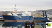 Sajongjongan teuleum pikeun dijual