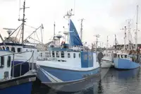 Kapal pangangkut lauk hirup keur dijual