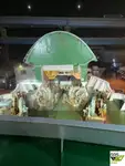 Kapal Ro-Ro keur dijual