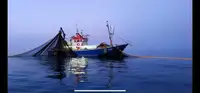 Trawler pikeun dijual