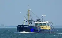 Kapal pancing beam trawler keur dijual