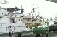 Longliner pikeun dijual
