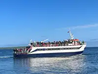 Kapal panumpang pikeun dijual