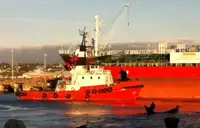 Tow boat pikeun dijual