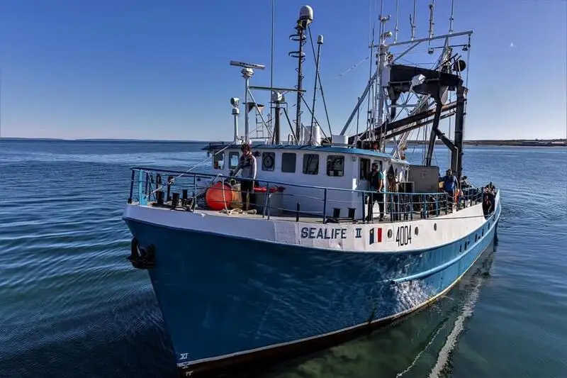 Kapal purse seiner keur dijual