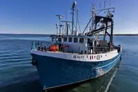 Kapal purse seiner keur dijual
