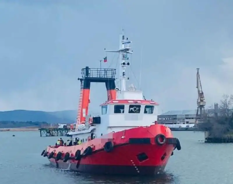 Tow boat pikeun dijual