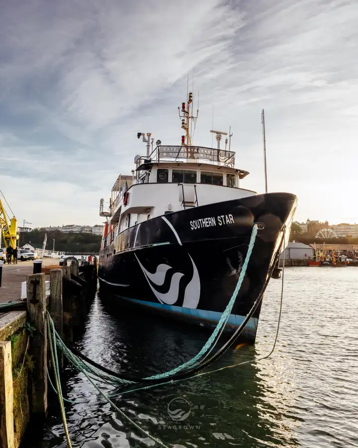 Kapal survey pikeun dijual